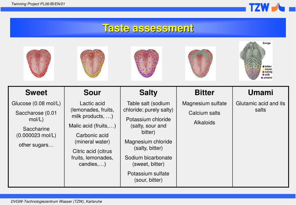 PPT Taste and odor assessment in the framework of water quality
