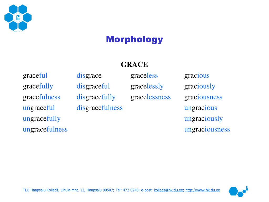 Morphology Examples