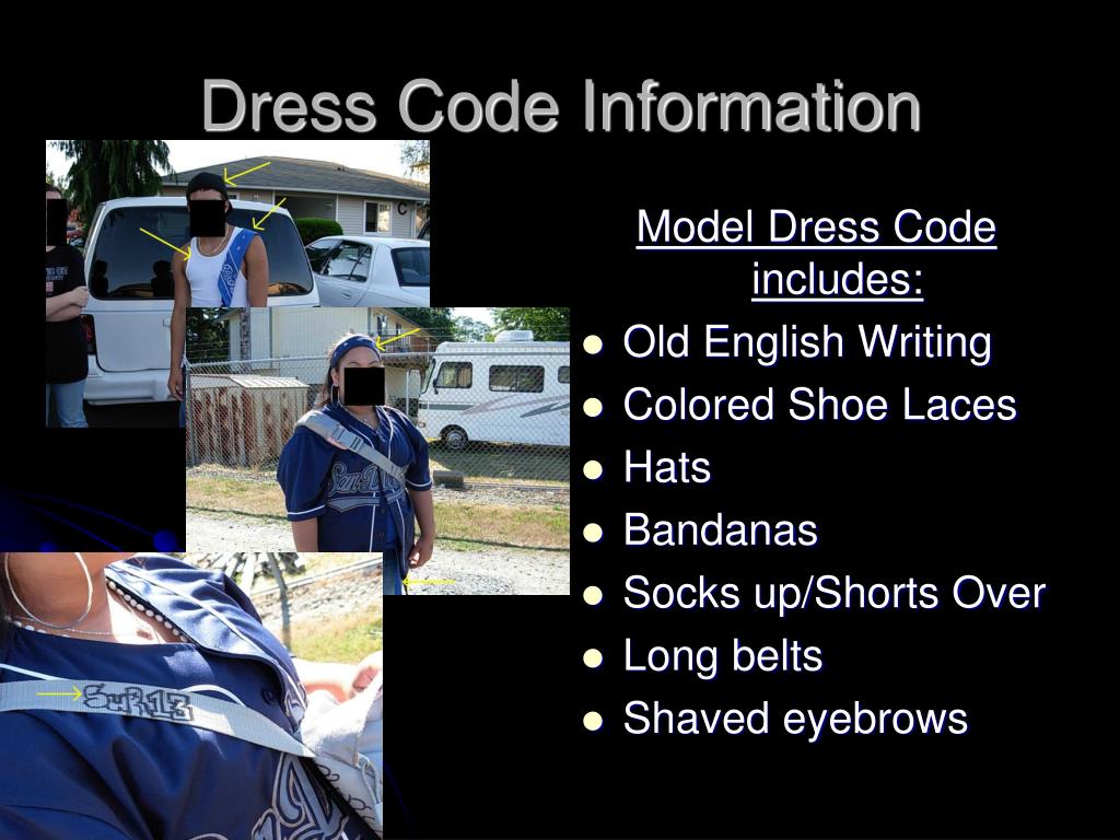 PPT CRIMINAL STREET GANGS PowerPoint Presentation, free download ID