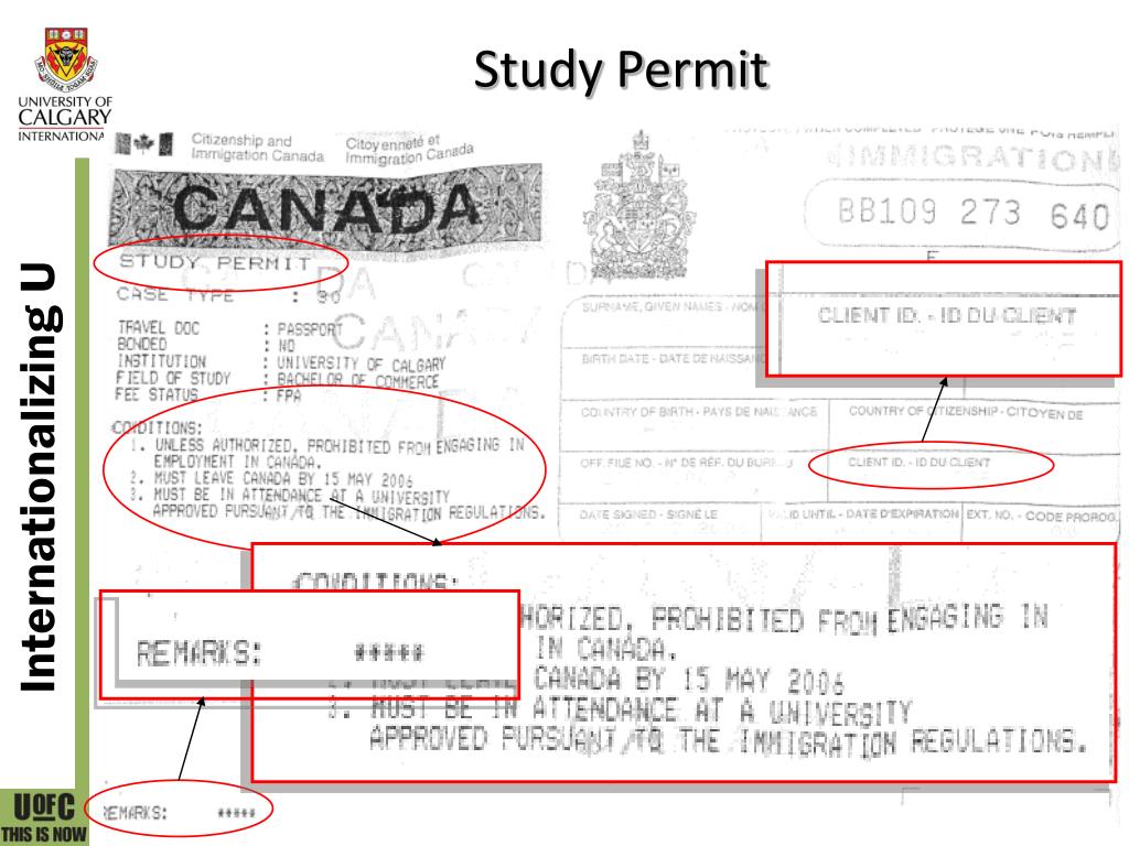 PPT Study Permits Renew New (if applicable) Work Permits Off