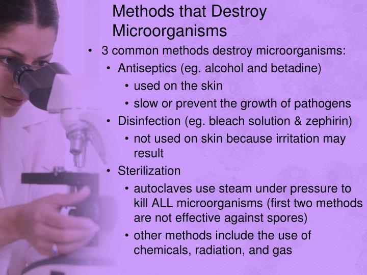 PPT BASIC MICROBIOLOGY PowerPoint Presentation ID3384614