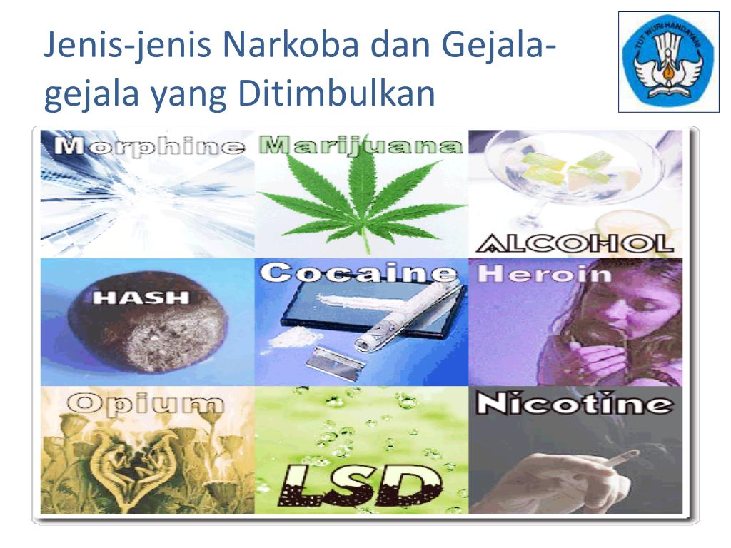 PPT Pembelajaran Pencegahan dan Penyalahgunaan NARKOBA PowerPoint