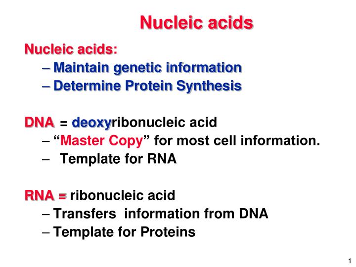 PPT Nucleic acids PowerPoint Presentation, free download ID3390573