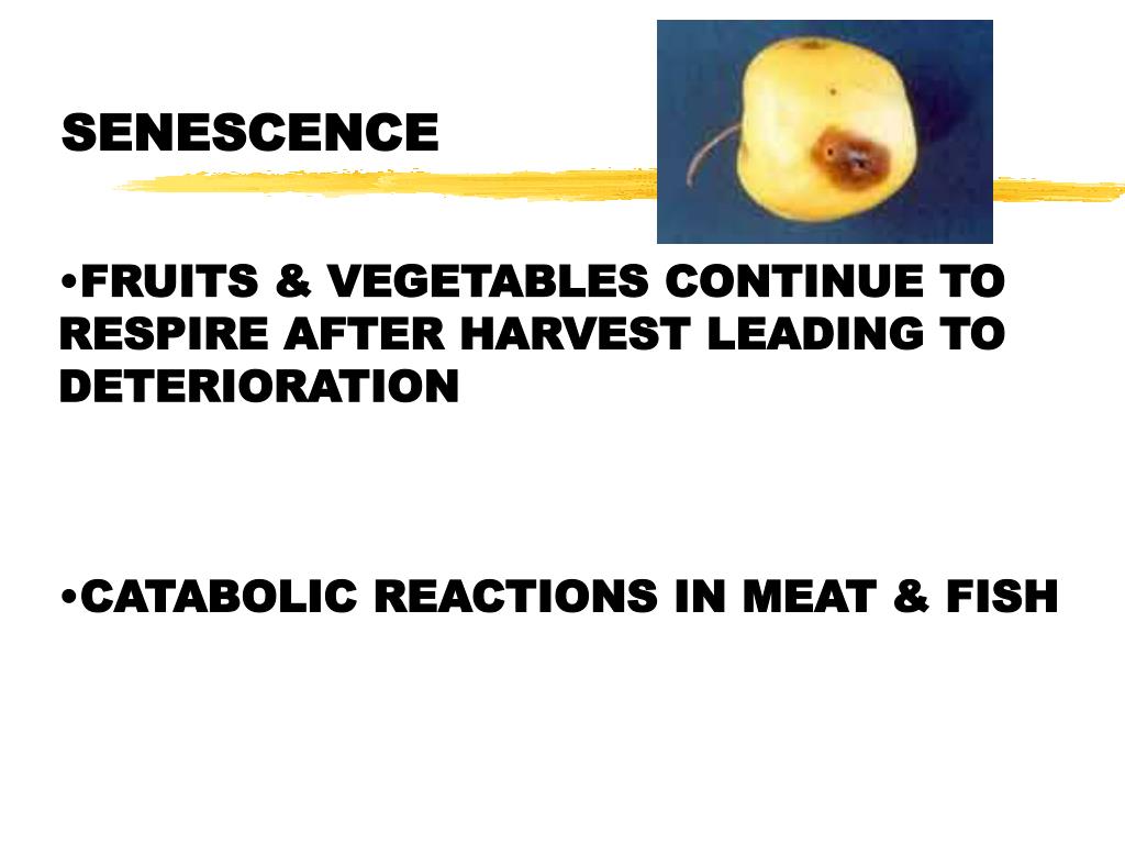 PPT Food Spoilage PowerPoint Presentation, free download ID3394389