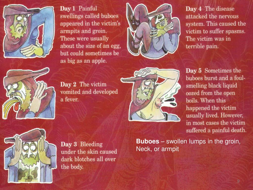 PPT The Black Death of the Middle Ages The Bubonic Plague PowerPoint