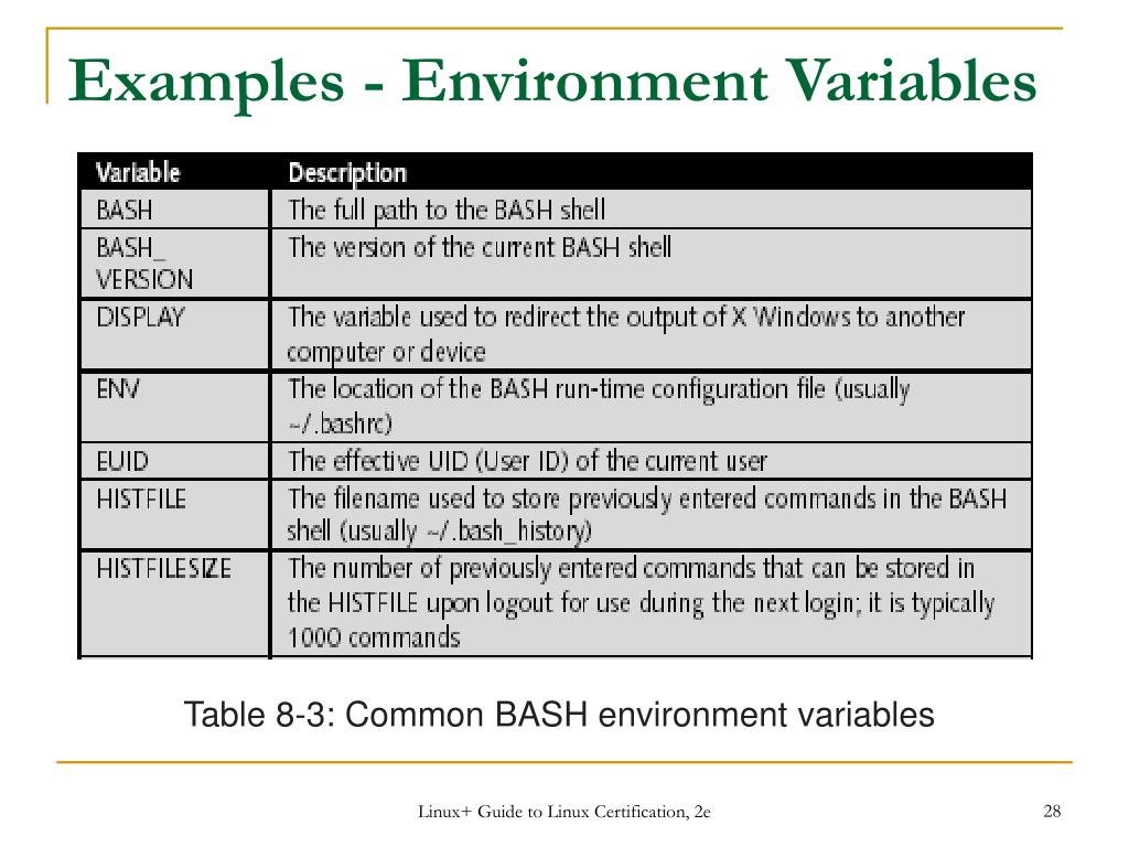 PPT Workbook 6 Part 1 The Bash Shell PowerPoint Presentation, free