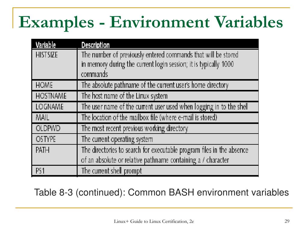 PPT Workbook 6 Part 1 The Bash Shell PowerPoint Presentation, free