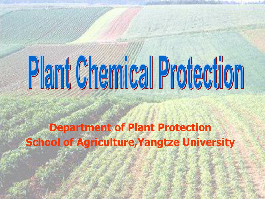 PPT Plant Chemical Protection PowerPoint Presentation, free download