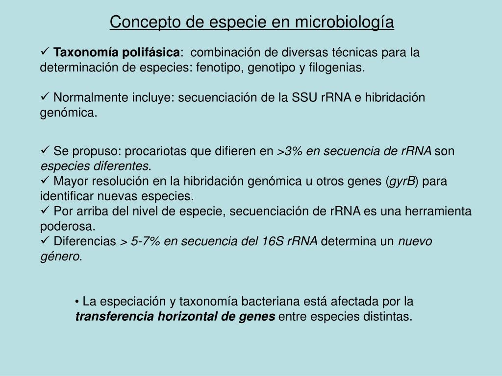 PPT TAXONOMIA MOLECULAR PowerPoint Presentation, free download ID