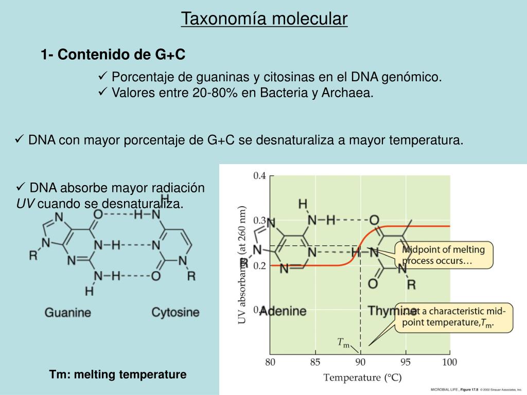 PPT TAXONOMIA MOLECULAR PowerPoint Presentation, free download ID