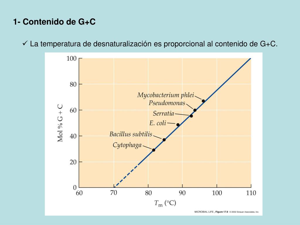 PPT TAXONOMIA MOLECULAR PowerPoint Presentation, free download ID
