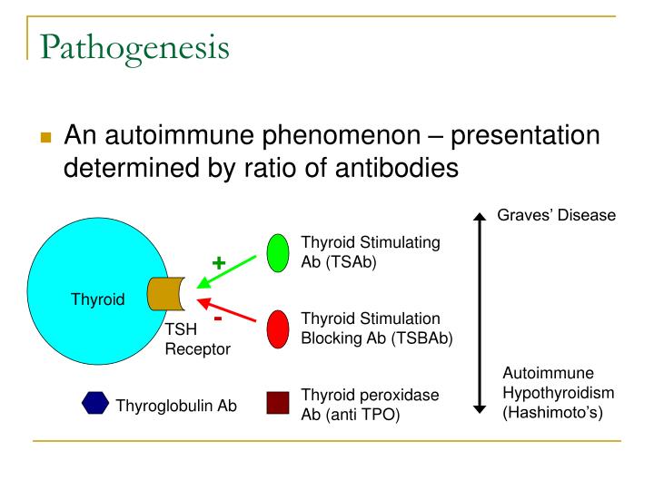 PPT Graves’ Disease An Overview PowerPoint Presentation ID3401926