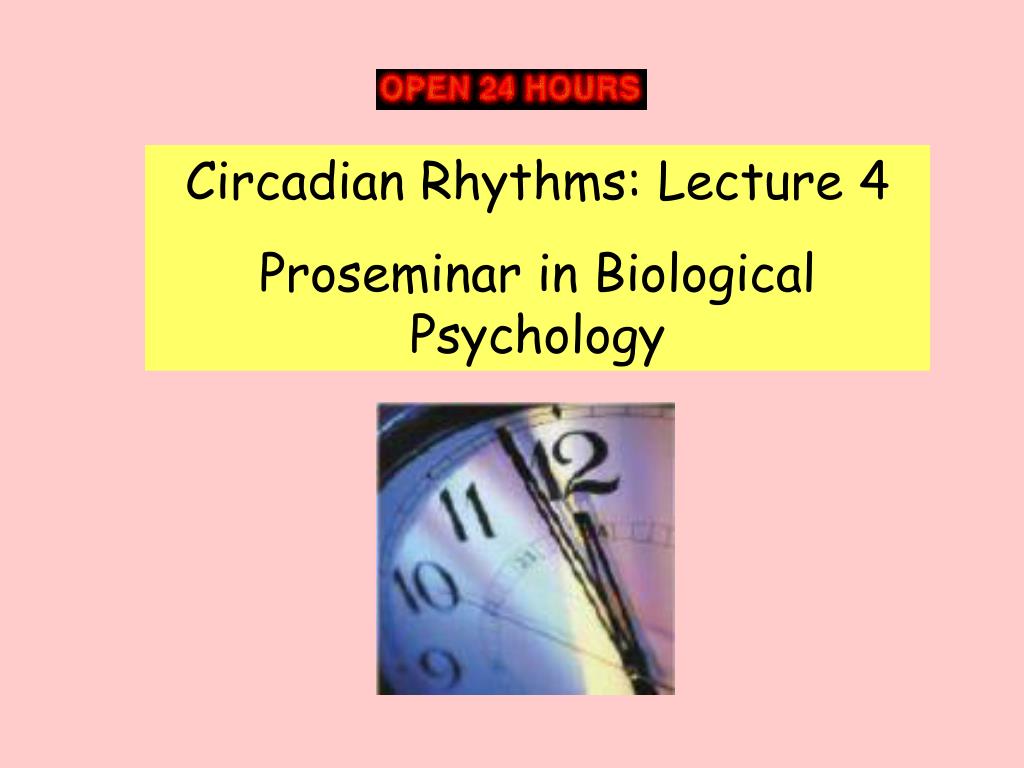PPT Circadian Rhythms Lecture 4 Proseminar in Biological Psychology