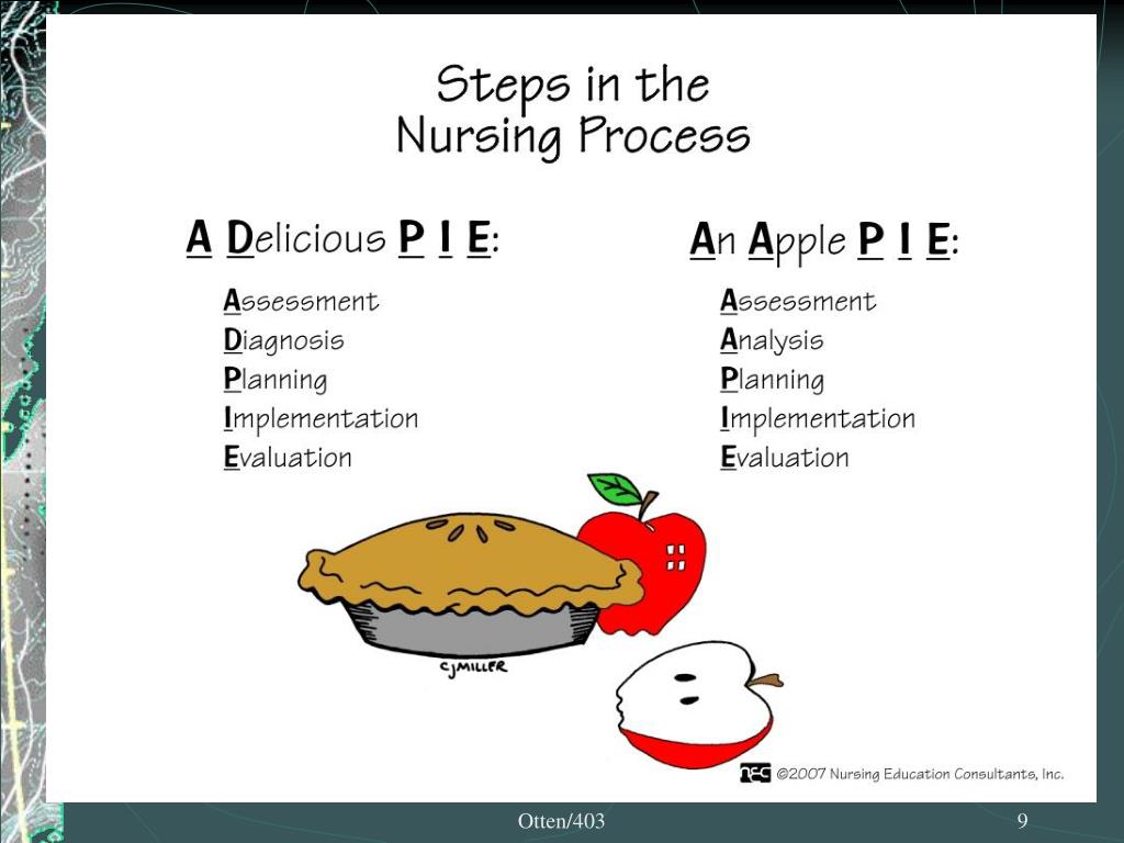 PPT The Nursing Process PowerPoint Presentation, free download ID