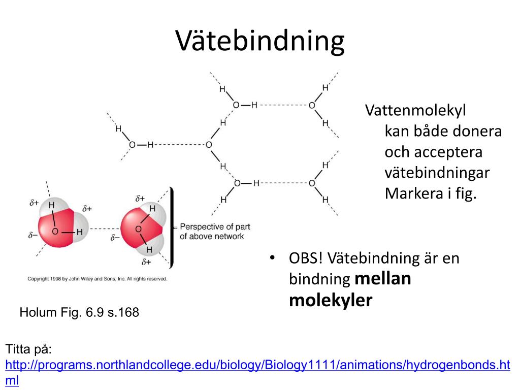PPT Intermolekylära krafter PowerPoint Presentation, free download