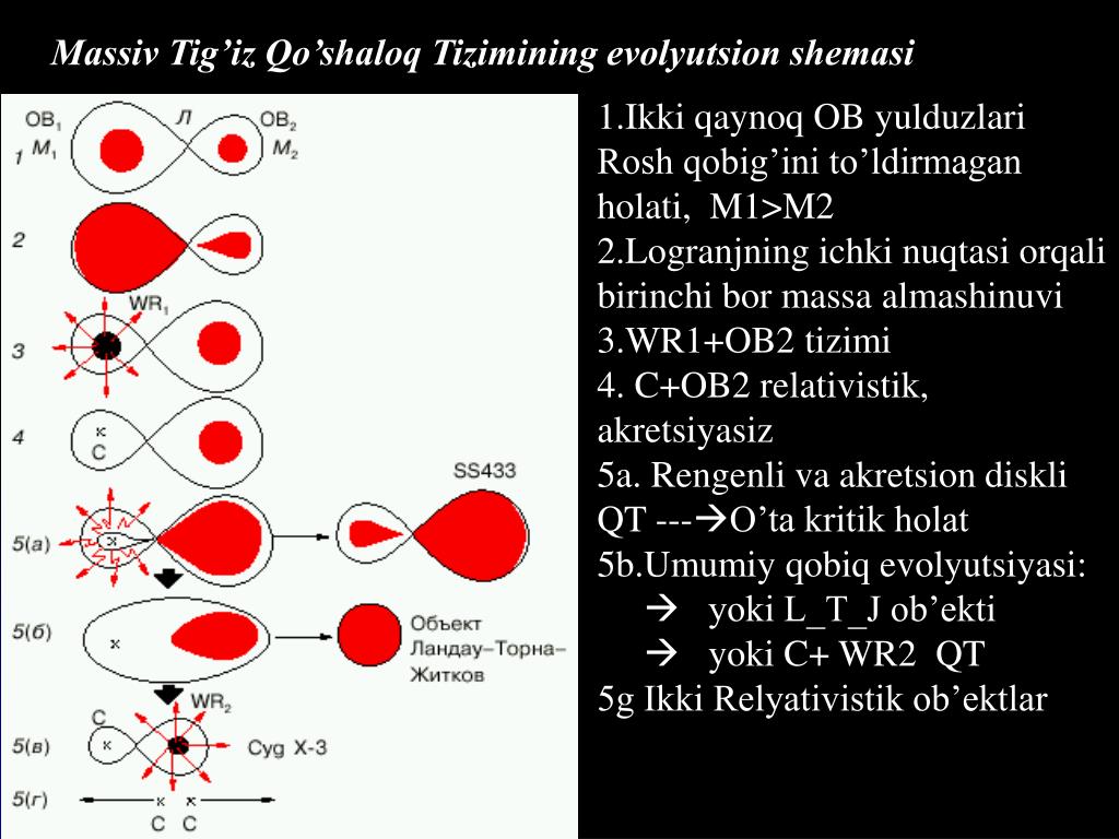 PPT « QO’SHALOQ TIZIMLAR VA OBASSOTSIATSIYADAGI TIG’IZ QO’SHALOQ