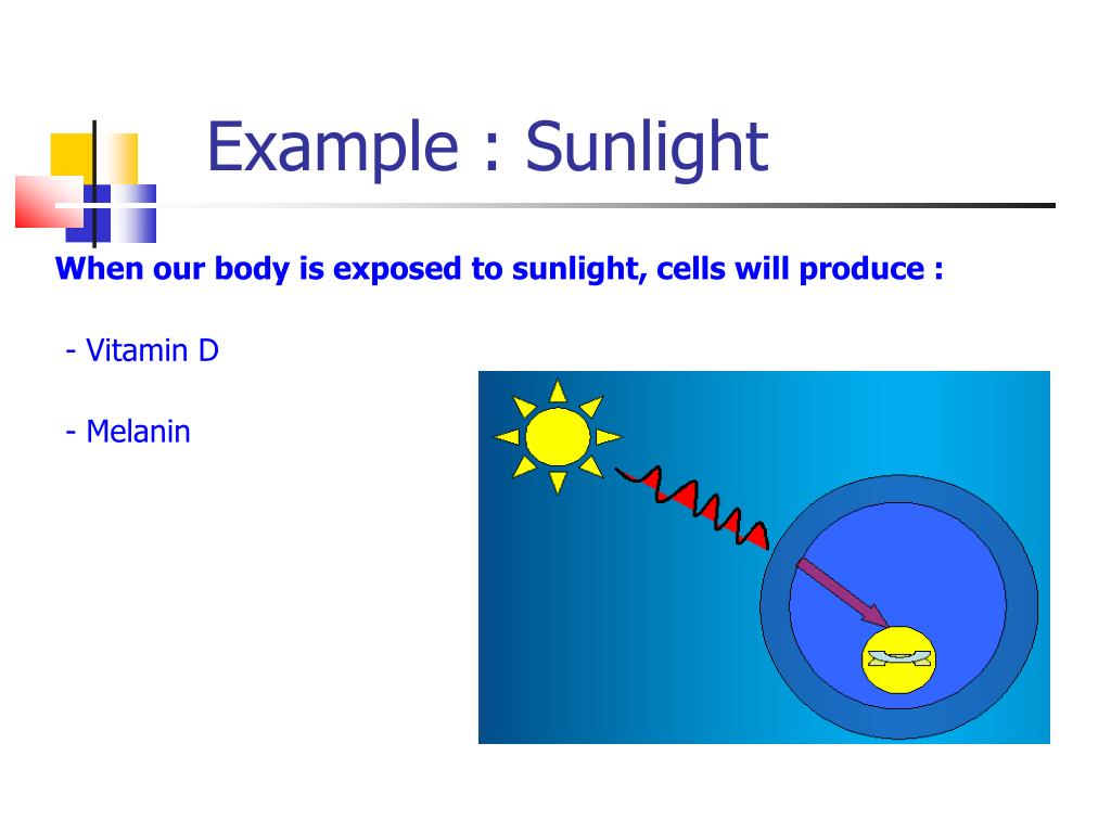 PPT LIFEWAVE Software for the human body PowerPoint Presentation