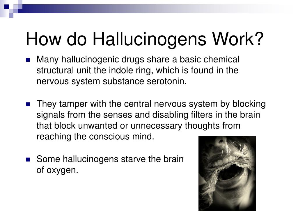 PPT Hallucinogens PowerPoint Presentation, free download ID3418780