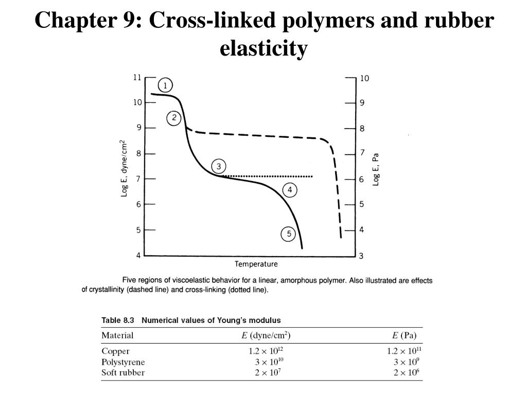 PPT Chapter 9 Crosslinked polymers and rubber elasticity PowerPoint