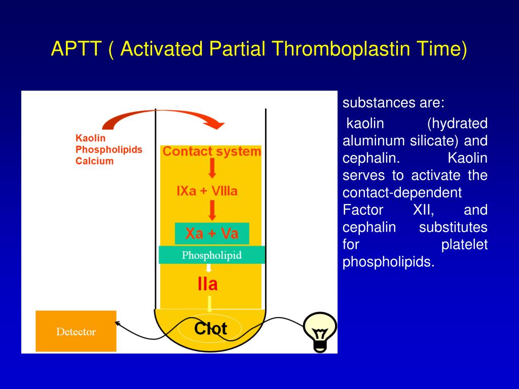 PPT Lupus Anticoagulants PowerPoint Presentation, free download ID3424941