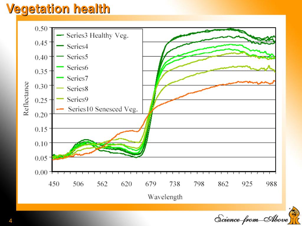 PPT Vegetation Indices PowerPoint Presentation, free download ID