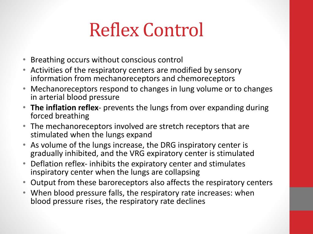 PPT Respiratory System Chapter 15 PowerPoint Presentation, free