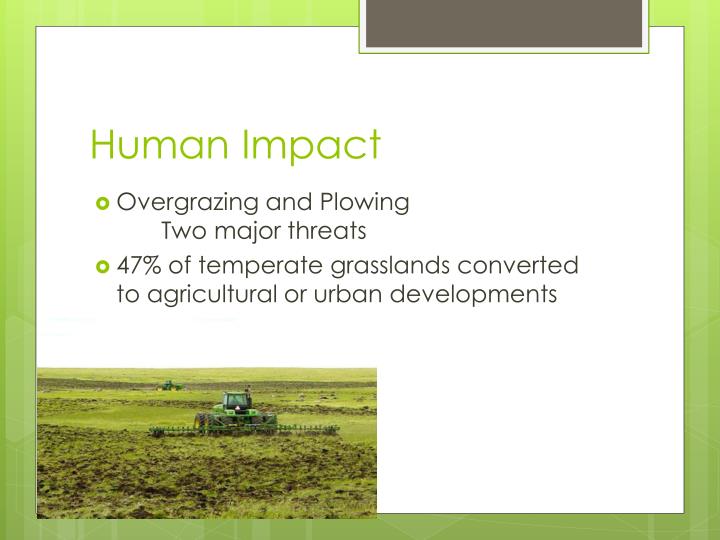 Grassland Human Impact at Lee Charles blog