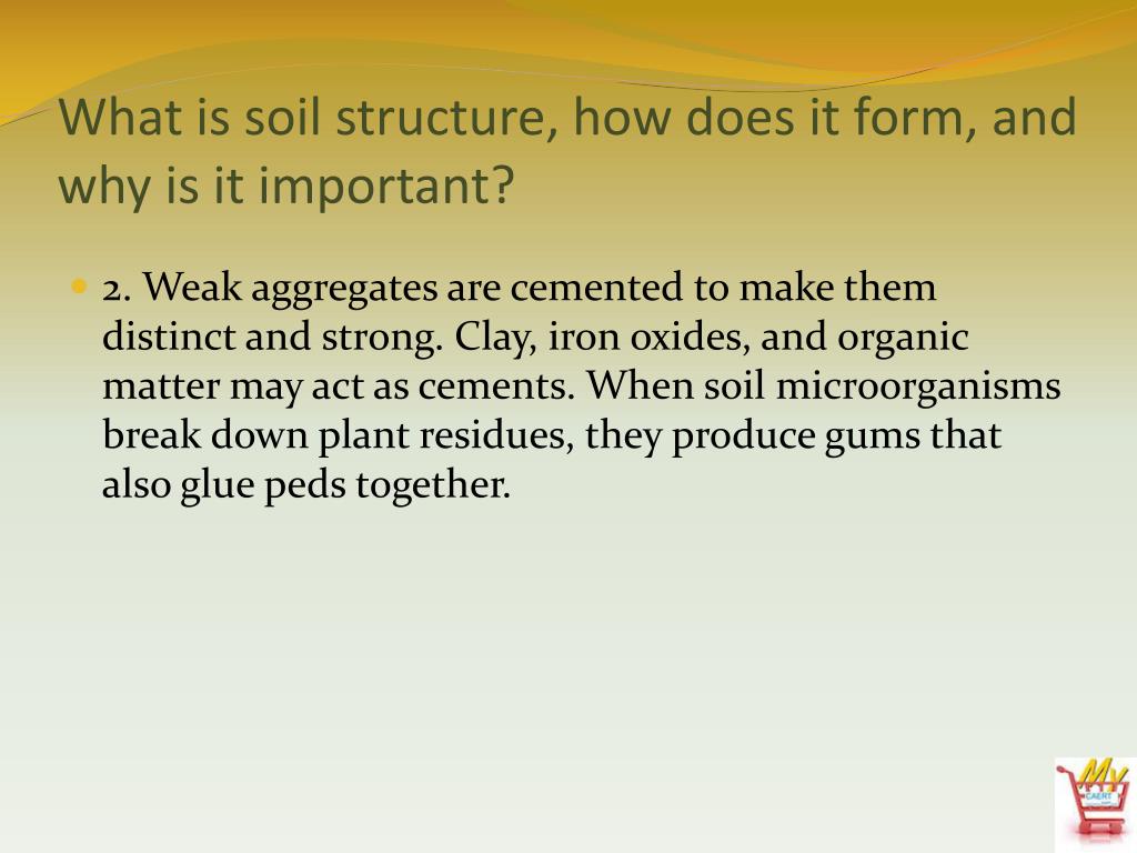 PPT Animal, Plant & Soil Science Lesson D15 Soil Texture and