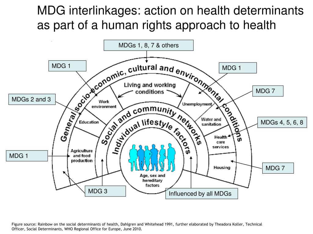 PPT Social determinant of health Social Epidemiology dan pendekatan