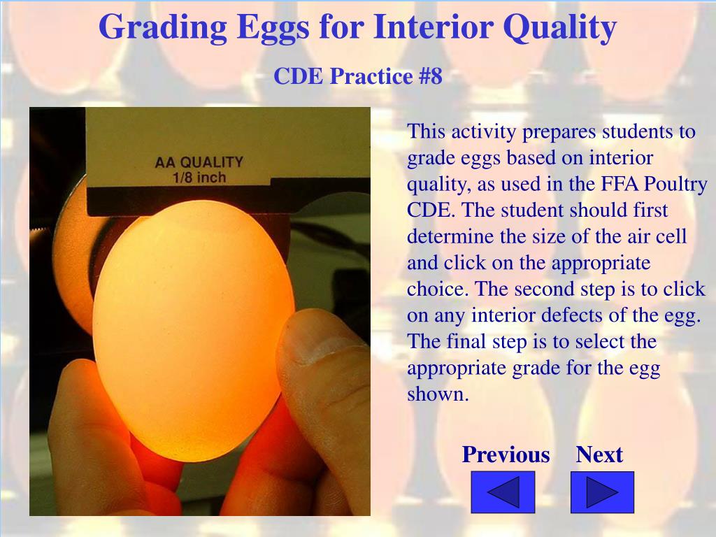 PPT Grading Eggs for Interior Quality Practice 8 Poultry CDE