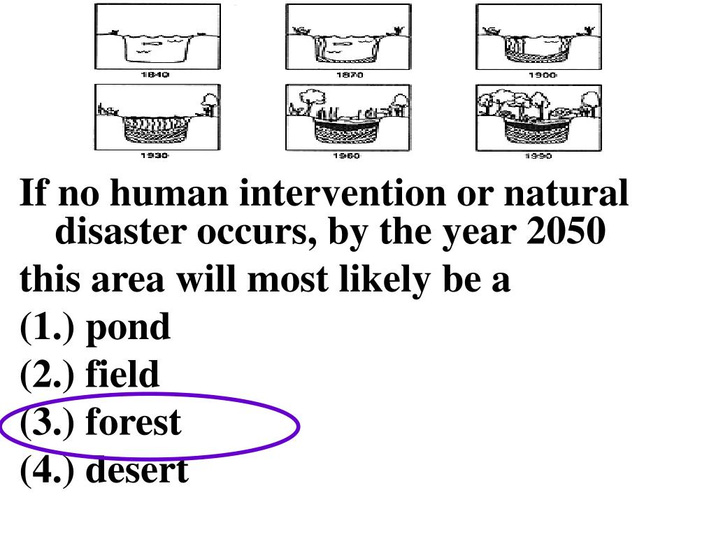 PPT Ecology Review PowerPoint Presentation, free download ID3481111