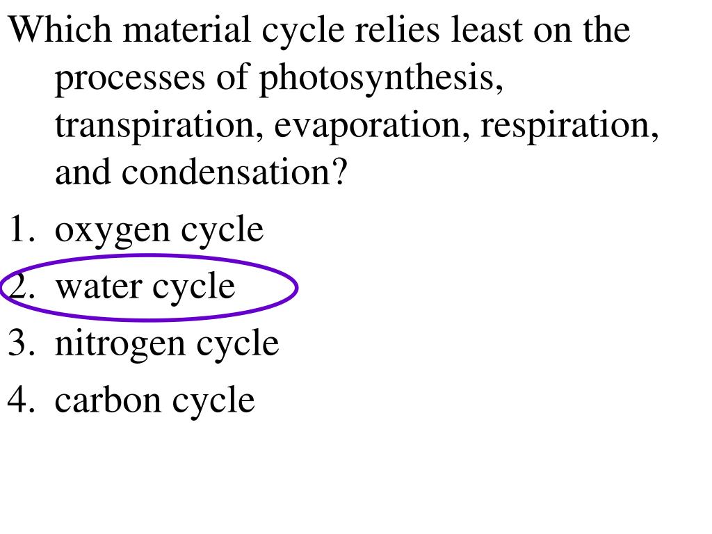 PPT Ecology Review PowerPoint Presentation, free download ID3481111