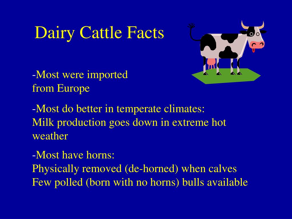 PPT Dairy Judging Training PowerPoint Presentation, free download