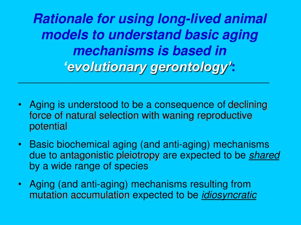 PPT Naturally Longlived Animal Models for the Study of Slow Aging