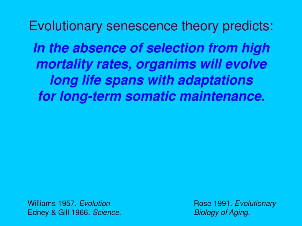 PPT Naturally Longlived Animal Models for the Study of Slow Aging