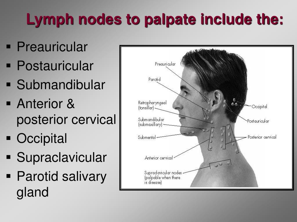 PPT Module 5 PowerPoint Presentation, free download ID3493481