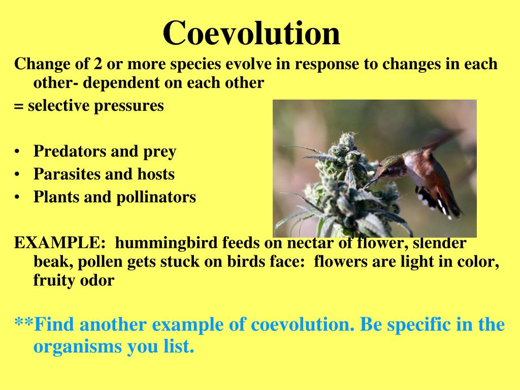 PPT Terminology PowerPoint Presentation, free download ID3495871