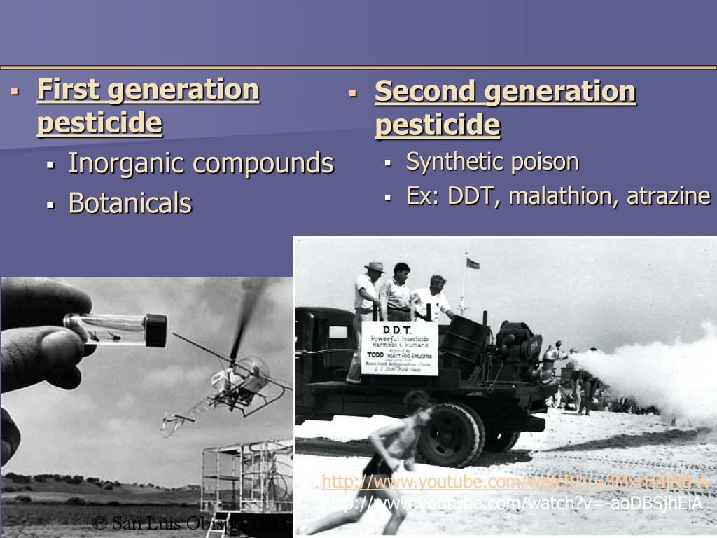 PPT Chapter 22 Pest Management PowerPoint Presentation, free download
