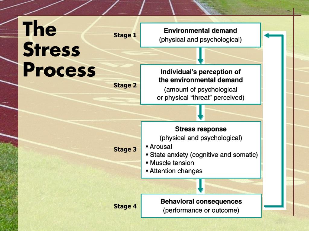 PPT Arousal, Stress, and Anxiety PowerPoint Presentation, free