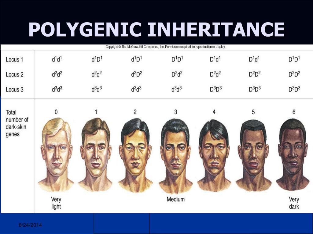 Inheritance Mind Map