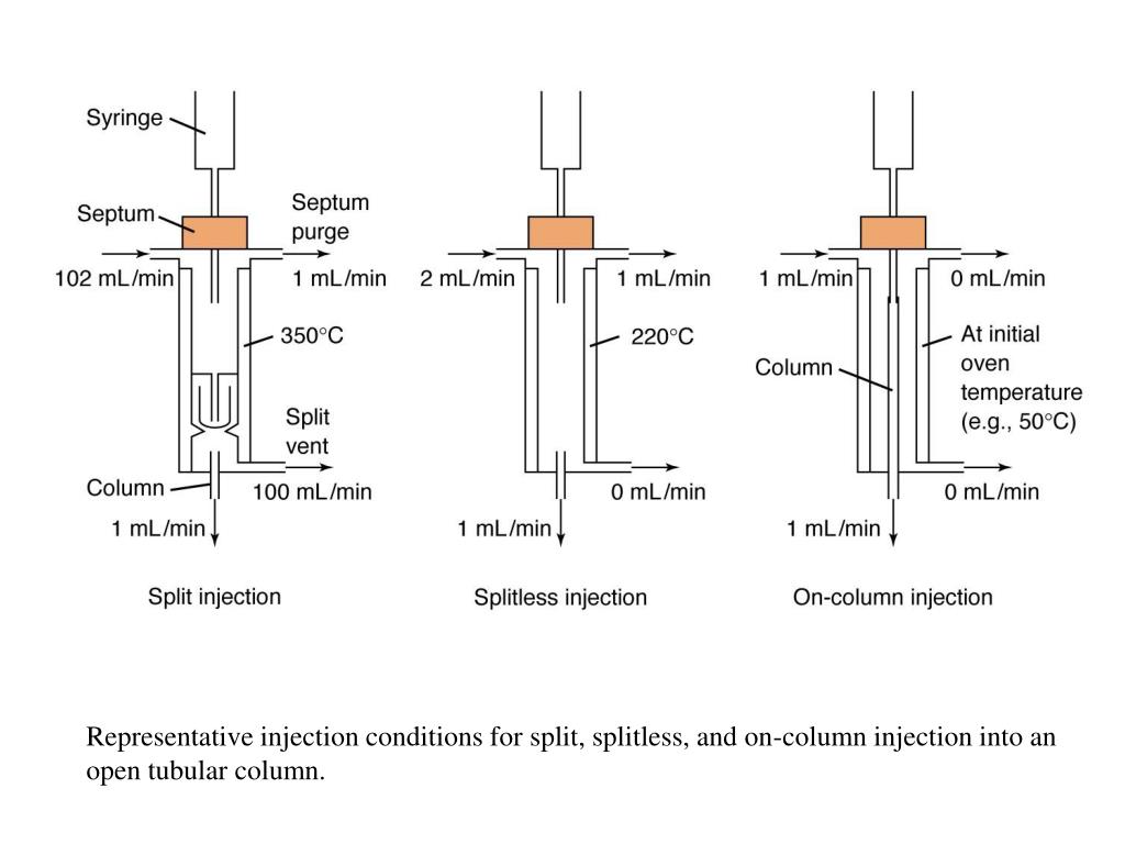 PPT Chapter 31 PowerPoint Presentation, free download ID3525270