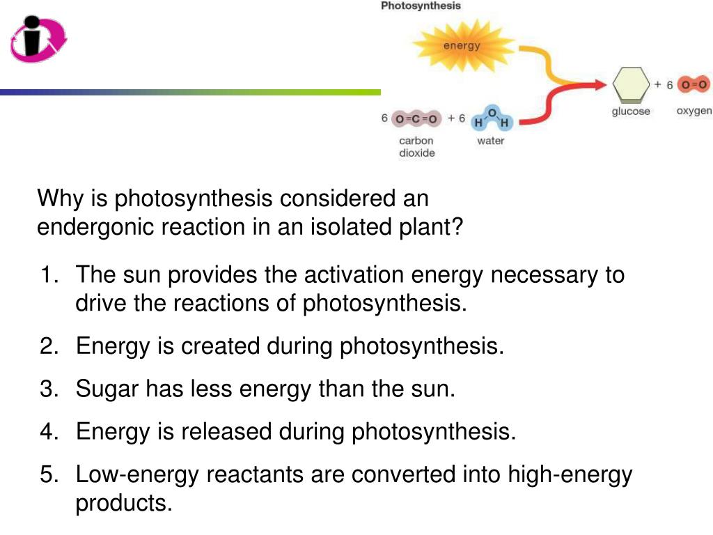 PPT Chapter 6 Energy flow in the life of a cell PowerPoint