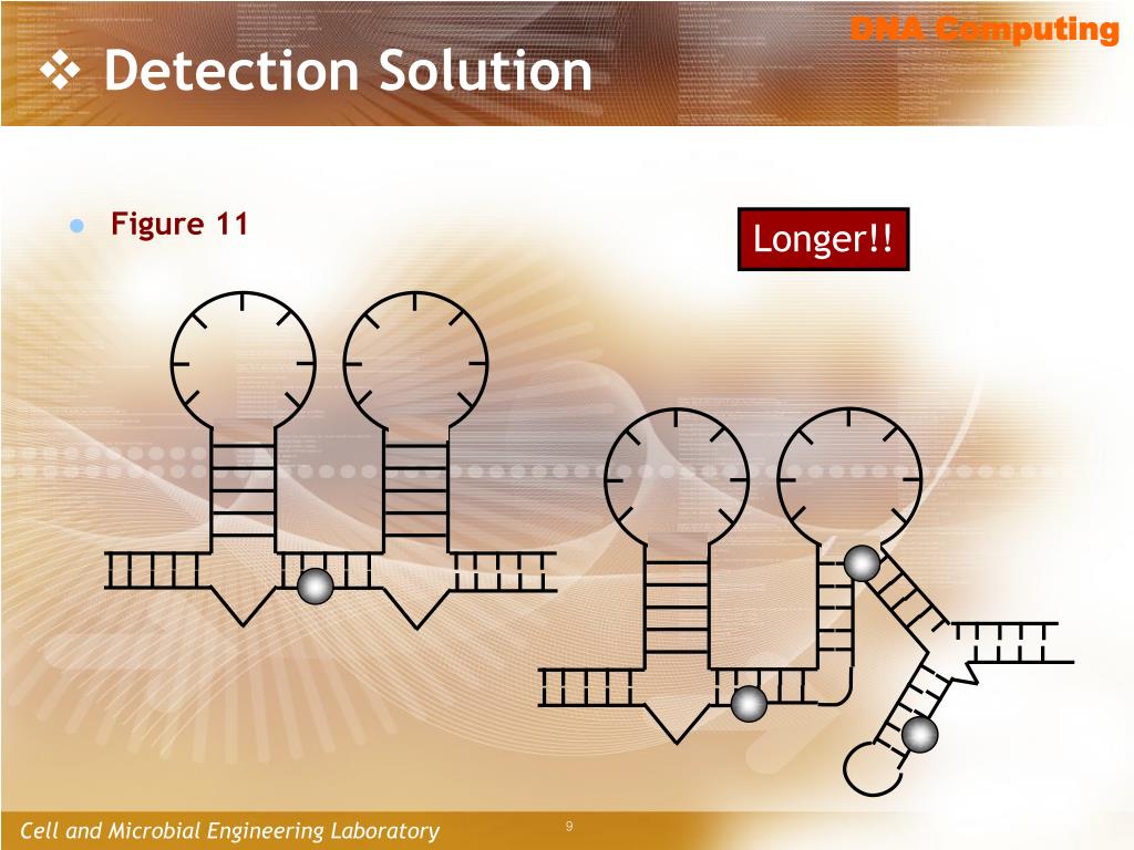 PPT Aqueous Computing with DNA Hairpinbased RAM PowerPoint
