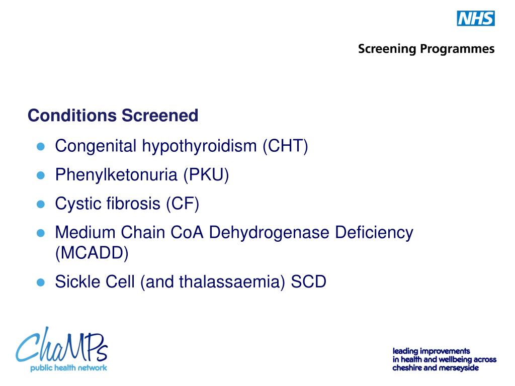 PPT NHS Blood Spot Screening Programme PowerPoint Presentation, free