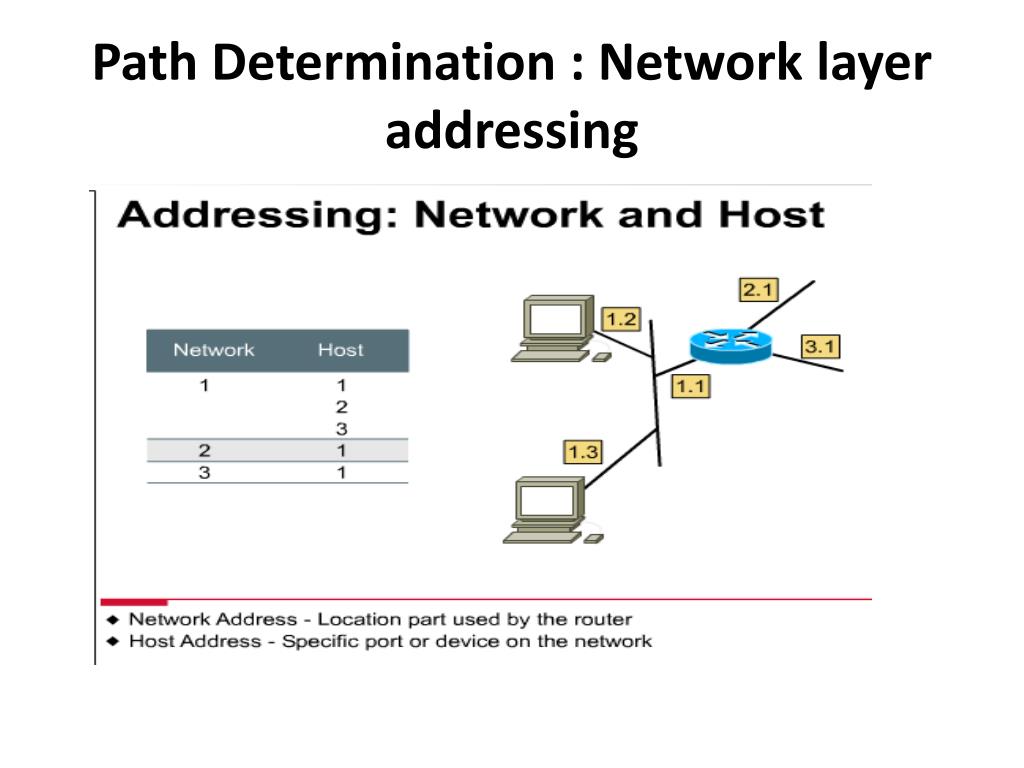 PPT Network Layer PowerPoint Presentation, free download ID3541958