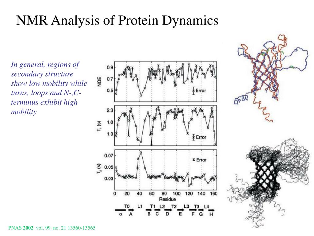 PPT NMR Analysis of Protein Dynamics PowerPoint Presentation, free