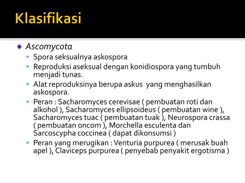 PPT JAMUR ( FUNGI ) PowerPoint Presentation, free download ID3549996