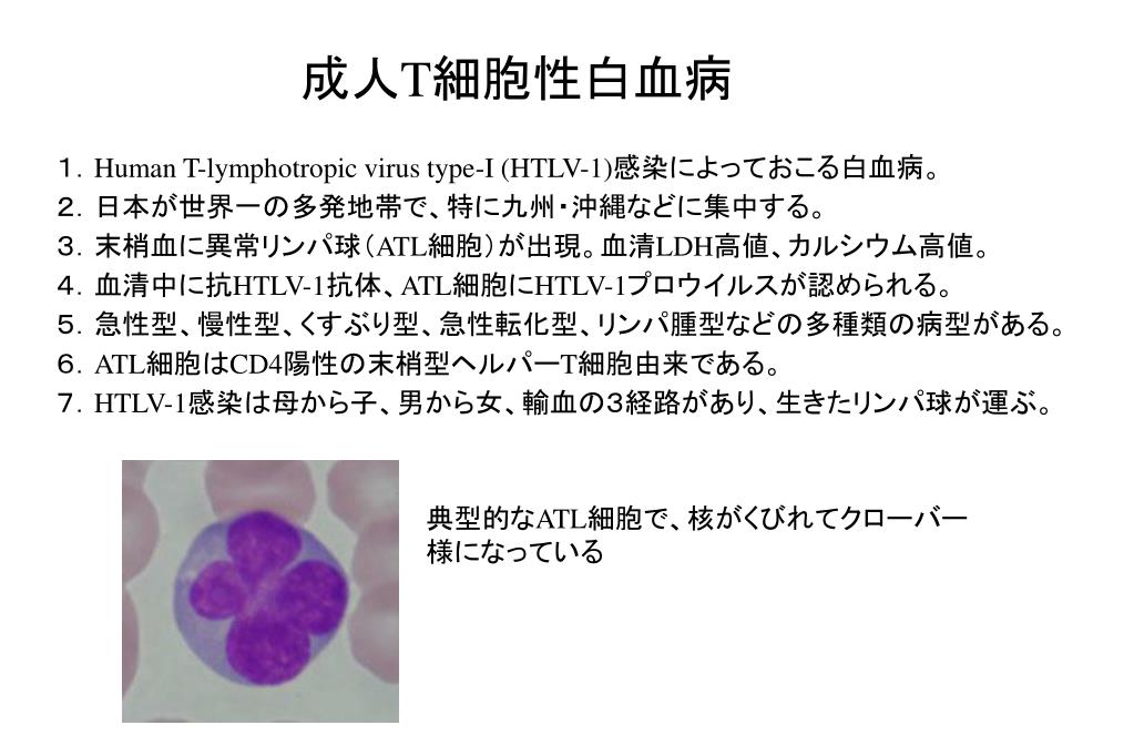 PPT 認定看護師研修センター がんのプロセスとその治療 2．がんの特徴 PowerPoint