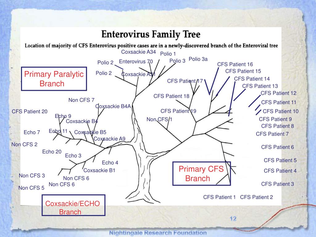 PPT nightingale 121 Iona Street, Ottawa, Canada K1Y 3M1 PowerPoint