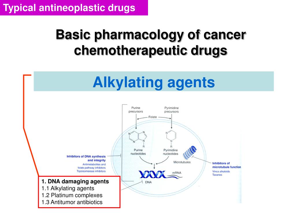 PPT Antineoplastic drugs PowerPoint Presentation, free download ID